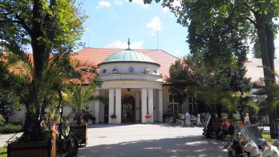 Pijalnia Wód Mineralnych Wielka Pieniawa